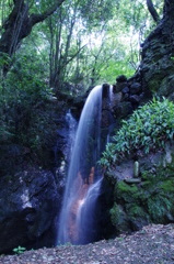 IMGP1638