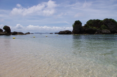 海