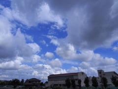台風一過