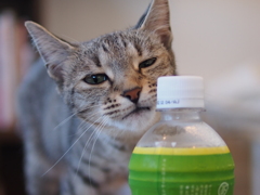 気持ちいいなぁ