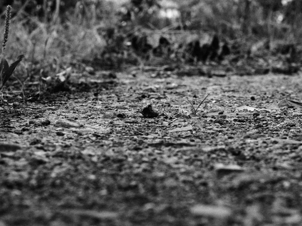 無題　ラフモノクローム