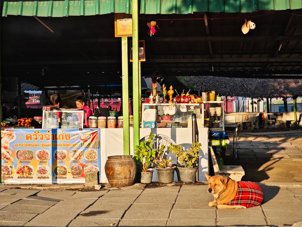 看板犬