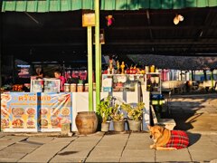 看板犬