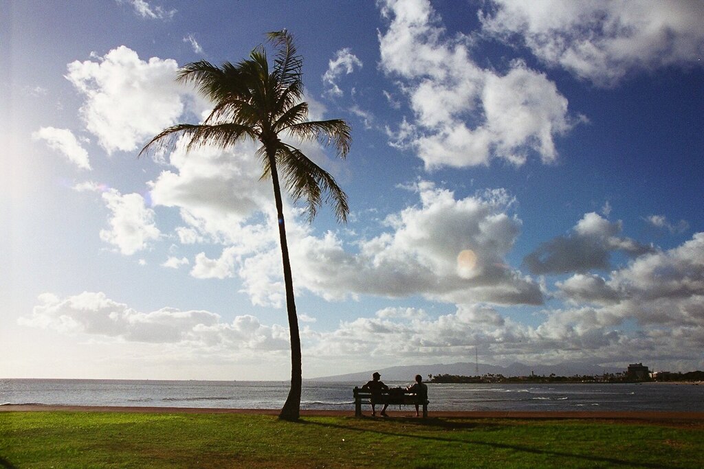 Trade winds
