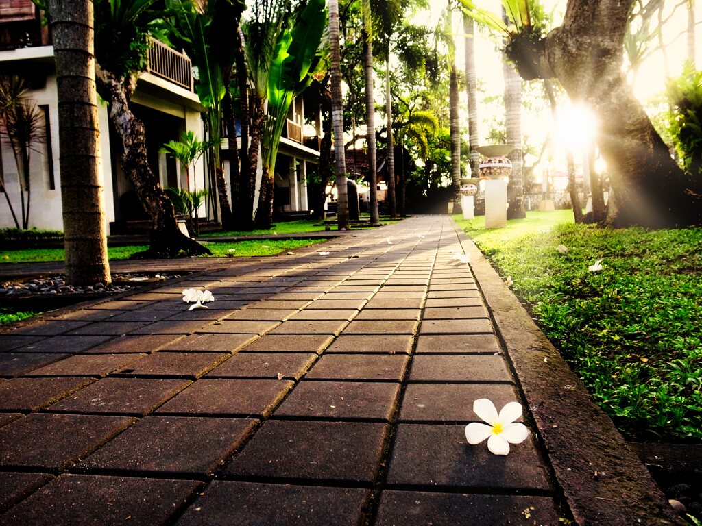Morning Light