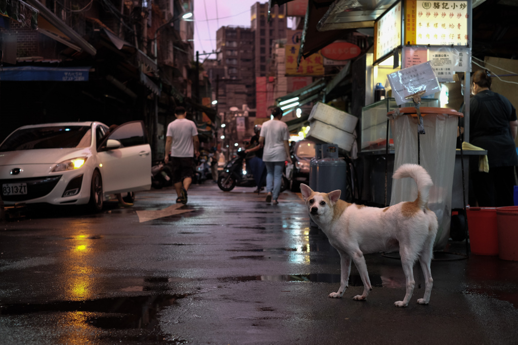 雨停了#2