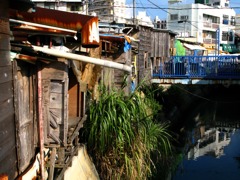 沖縄農連市場