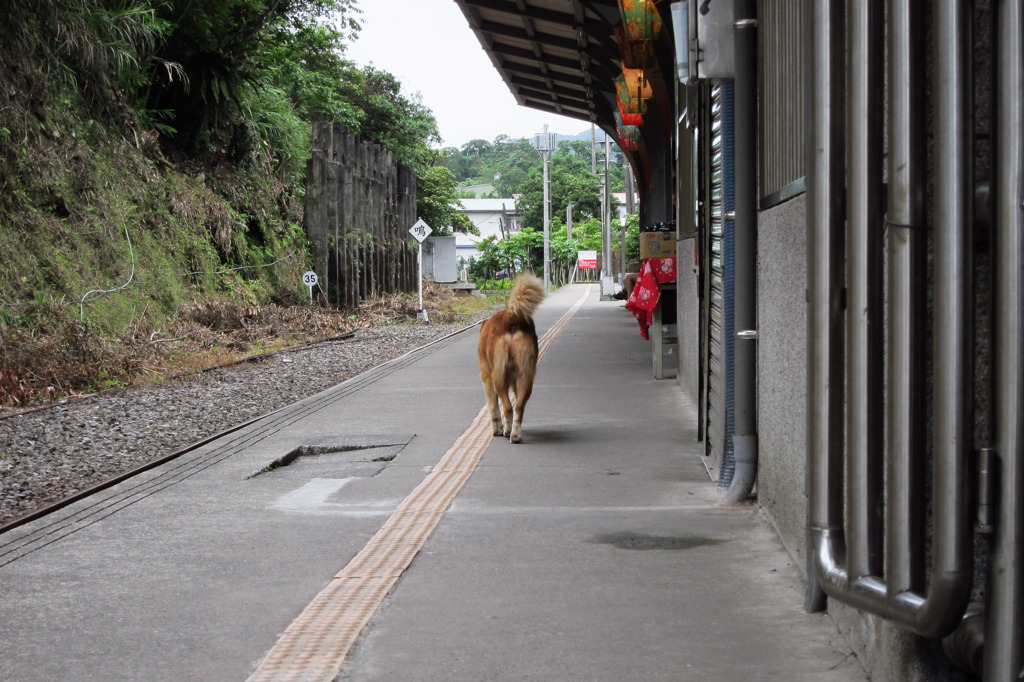 おいらの道