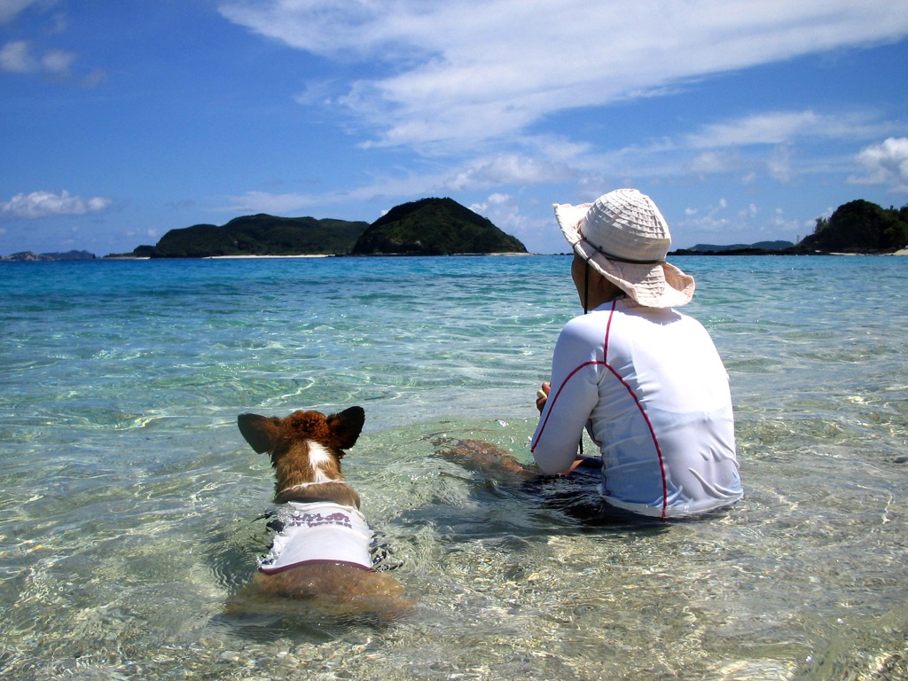 座間味の海