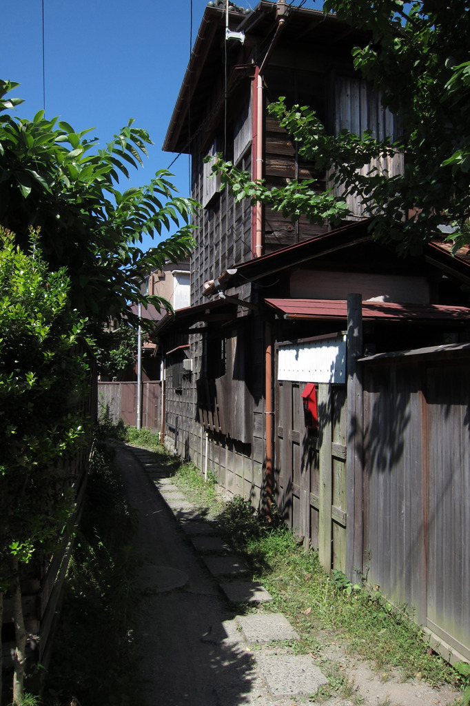 鎌倉 夏