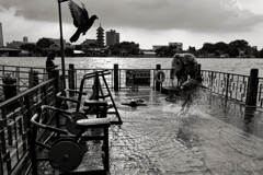 じゃぶじゃぶ池？ #2