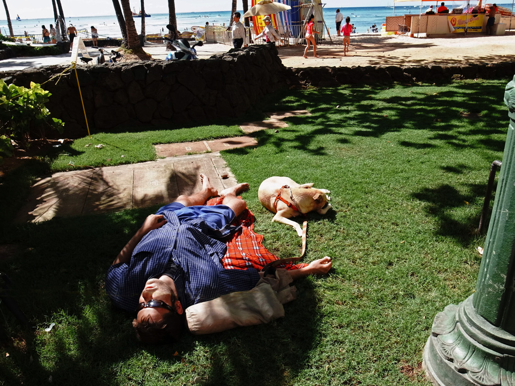 WAIKIKIⅨ