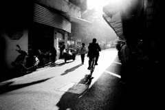 Morning light