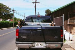 Pickup Truck