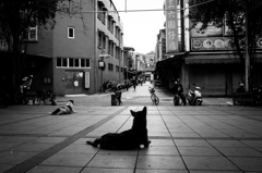 台北胡同＃1