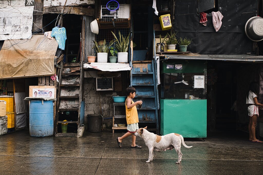 Child and dog