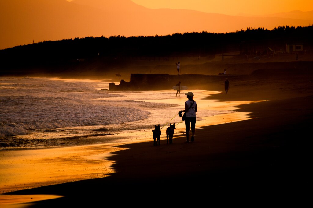 Sunset Walk