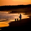 Sunset Walk