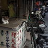 台北胡同#5