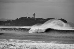 Typhoon