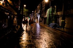 After the rain#2