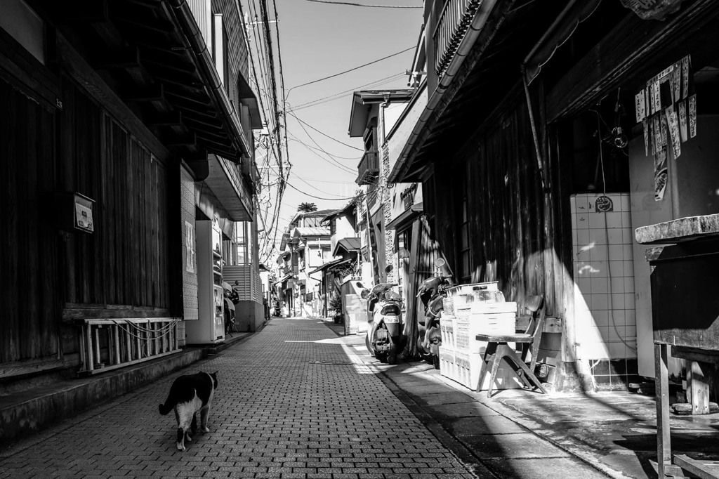 江ノ島 PM13:12