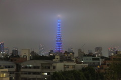 Blue Tokyo Tower