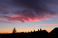 Pink clouds