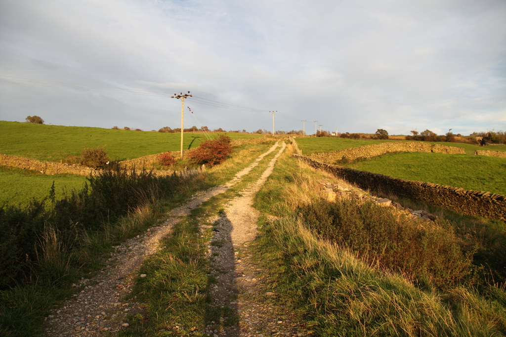 Sunset Road