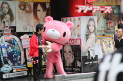 Pink Bear