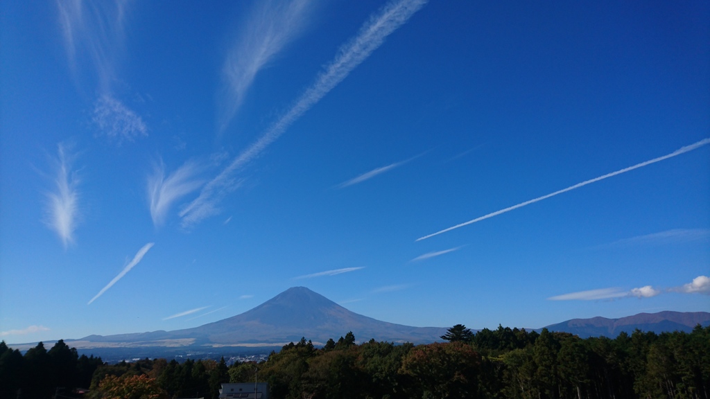 天気よろす