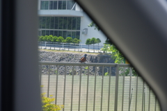 お客さん