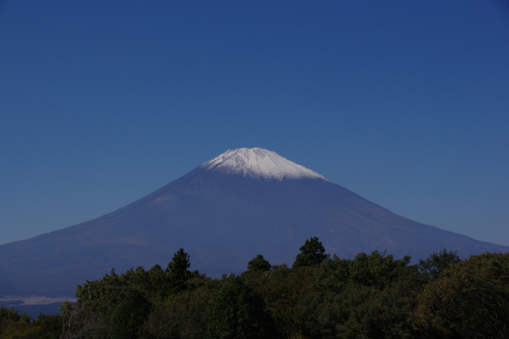 リベンジ１