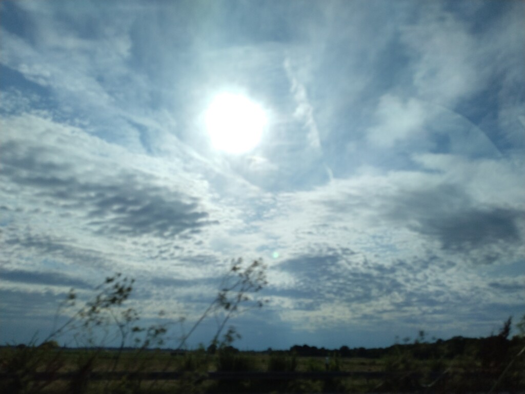 ドイツ出張1ヶ月
