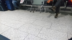 雀