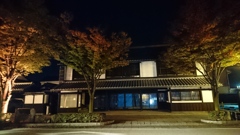 ステキ