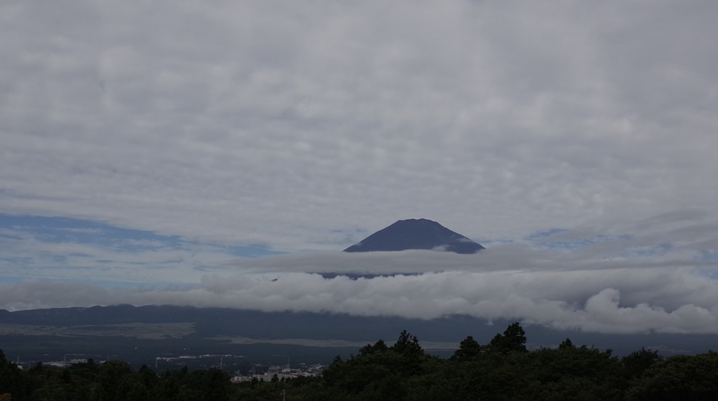 今朝はこんなでした。