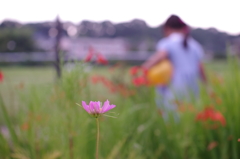 ちょっとボカし過ぎ？