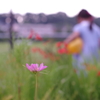 ちょっとボカし過ぎ？