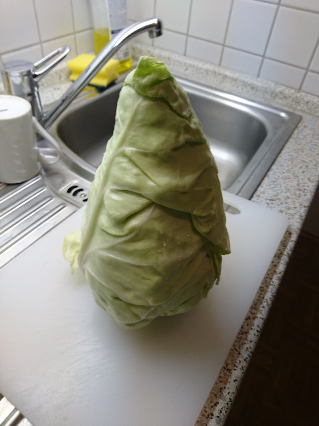 キャベツ