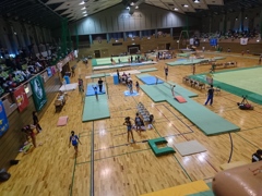 大会だー