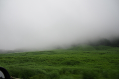 霧だらけ