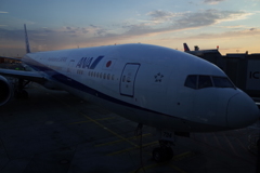 ANA
