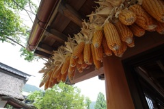 どう使う？