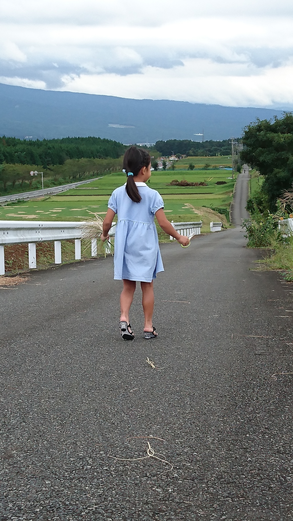 脚が
