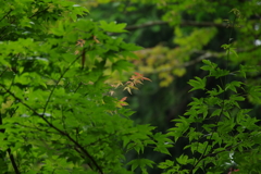 300ｍｍ