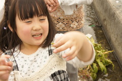 アマガエル獲ったどー!