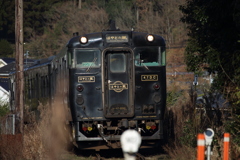 はやとの風１