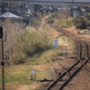 分岐分岐分岐