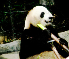 力力